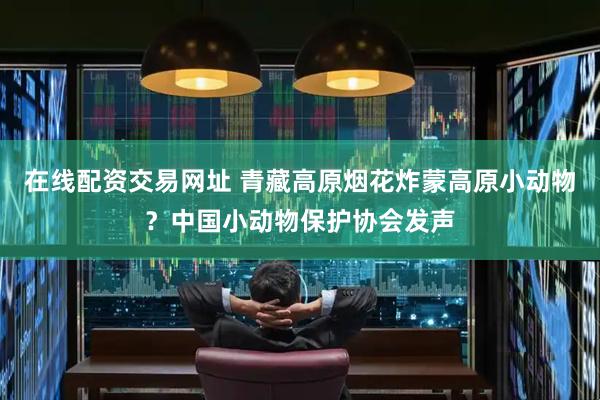 在线配资交易网址 青藏高原烟花炸蒙高原小动物？中国小动物保护协会发声