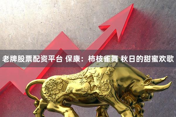 老牌股票配资平台 保康：柿枝雀舞 秋日的甜蜜欢歌